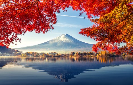 Çində təhsil və yaşayış