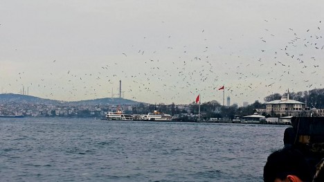 TIR-la avtostop və unudulmaz ilk səfər – ŞƏXSİ TƏCRÜBƏ