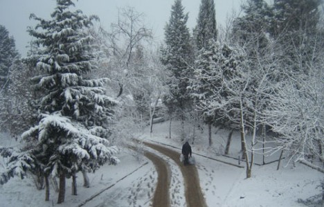 Şahdağda qarın hündürlüyü 11 sm-ə çatıb - FAKTİKİ HAVA