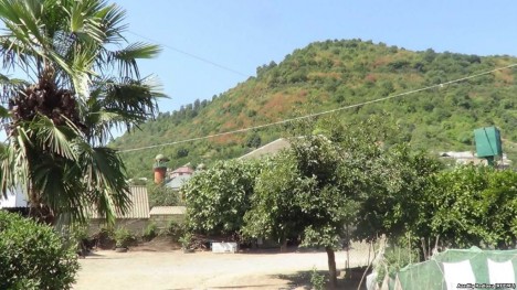 16 ildir spirtli içkinin satılmadığı kənd – Azərbaycanda 