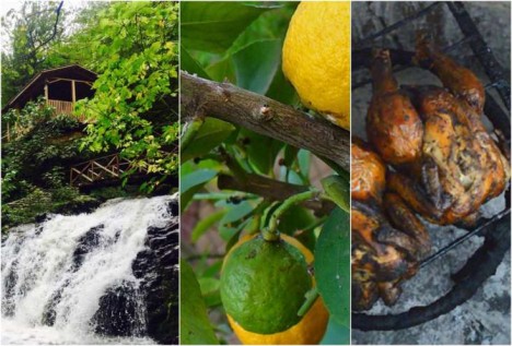 ​Lənkəranın ləvəngisi, Astaranın çayı, Lerikin təmiz balı - CƏNUB TURİZMİNİN ÜSTÜNLÜKLƏRİ