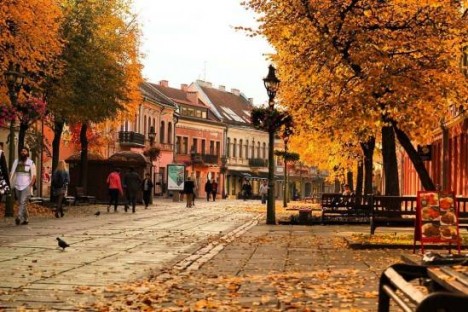 Litvanın gənclik mərkəzi – Kaunas - ŞƏXSİ TƏCRÜBƏ