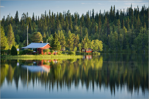 Finlandiya sakitliyi milli brendə çevirməyə hazırlaşır