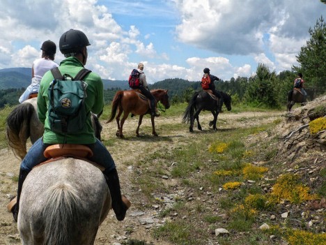 Azərbaycanda sağlamlıq turizminin inkişafı üçün YENİ ADDIM