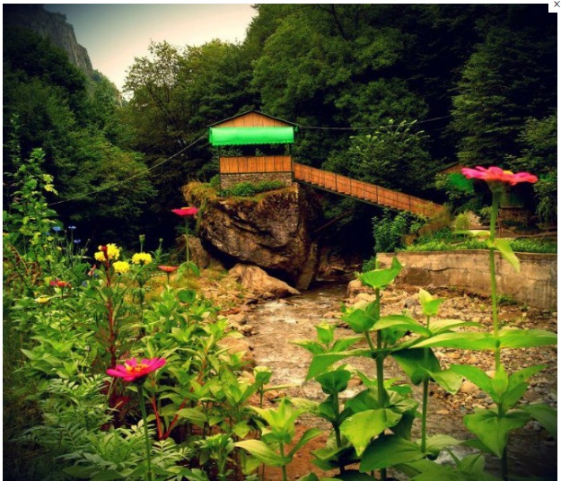 Tovuzda da kənd turizmindən qazanmaq olar - MÜSAHİBƏ