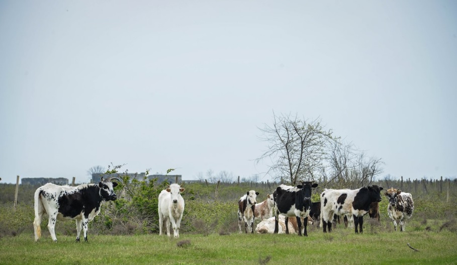 Azərbaycanın unudulmuş cənnətindən - FOTOREPORTAJ