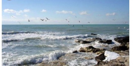 Nazirlik 19 istirahət mərkəzini məhkəməyə verib - SİYAHI