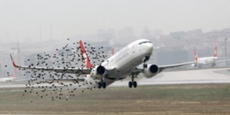 Türkiyə aeroportunda vəziyyət: “Biz hazırıq, ancaq qalxa bilmirik” 