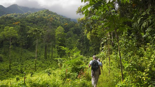 Turistlər turizm şirkətləri vasitəsilə elektron viza alacaqlar
