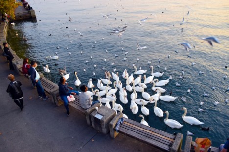 Fəvvarələr, muzeylər və şokolad şəhəri - SURİX