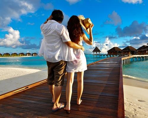 Bal ayı üçün ən maraqlı - 10 YER