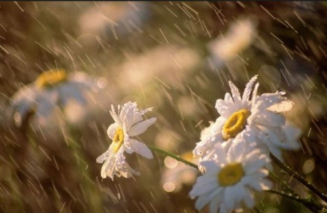 Sabahın havası - Yağış yağacaq