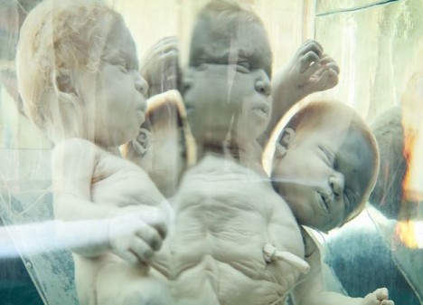 Bakıda meyitlərin saxlanıldığı muzeydən – REPORTAJ