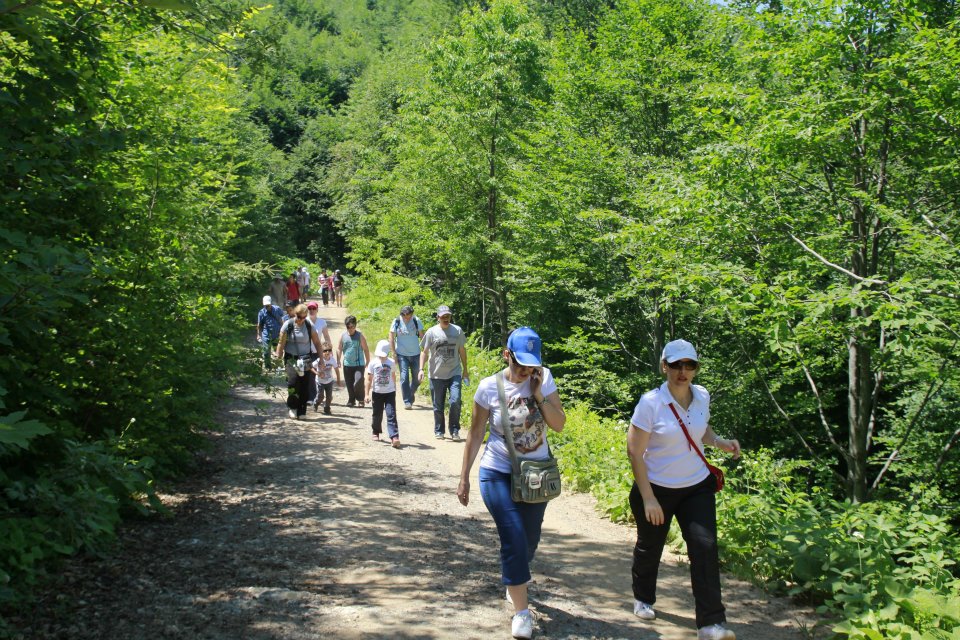 Turizm şirkətləri təkliflər hazırlayacaq - TAPŞIRIQ