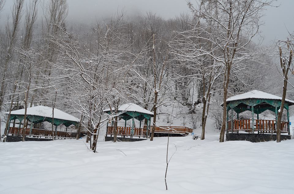 Qəbələdə qar mənzərələri – FOTOLAR