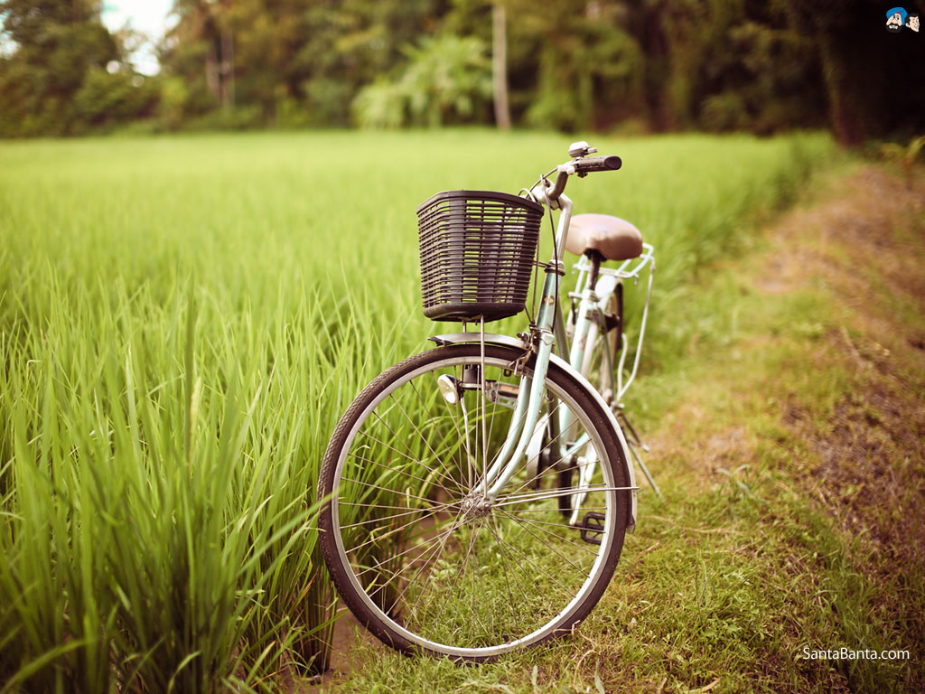 Bakı Turizm İnformasiya Mərkəzindən - YENİ TƏKLİF