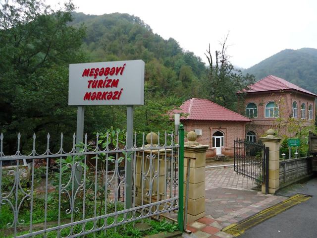 Lerikin “Meşəbəyi”si- Reportaj+qiymətlər