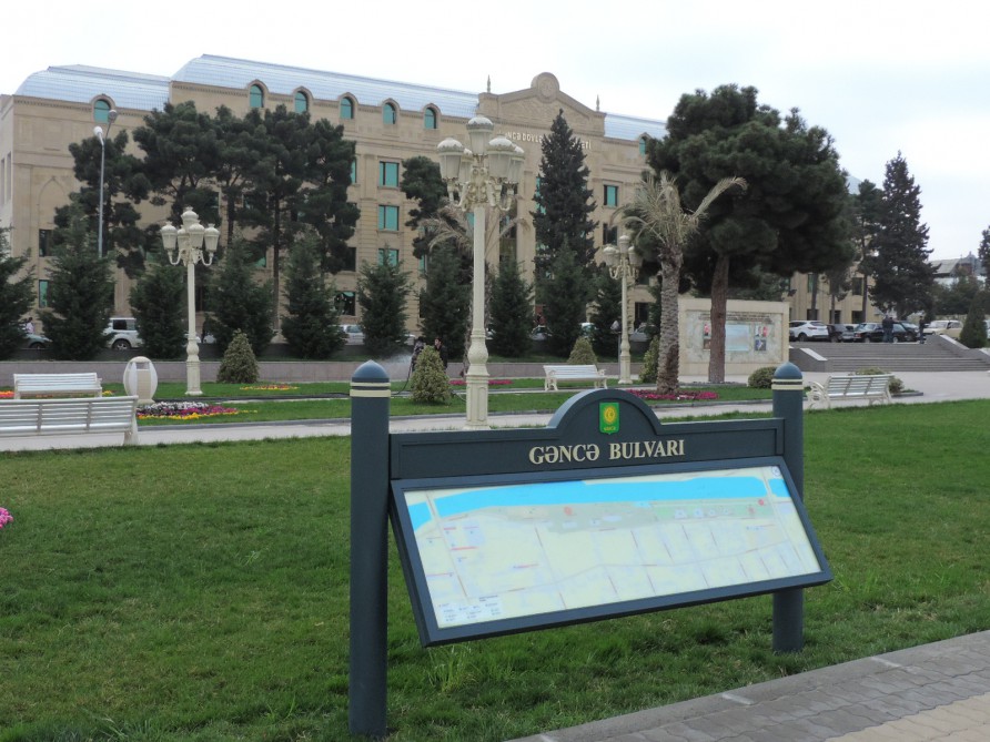 Gəncədə qızlar arasında velosiped yarışı keçiriləcək