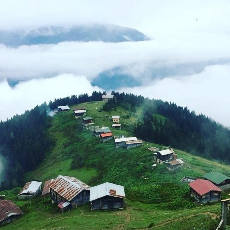 Rizənin ən gözəl yaylalarından biri, Pokut yaylası - GƏZMƏYƏ DƏYƏR