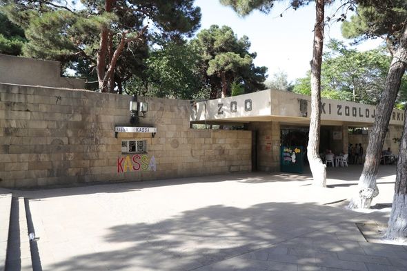 Bakı Zooparkı yenidən qurulur - FOTO