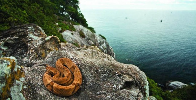 Yer kürəsində qadağan edilmiş 5 sirli zona - FOTOLAR