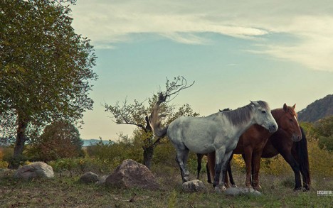 Azərbaycanın əlçatmaz gözəllikləri... - Fotolarda