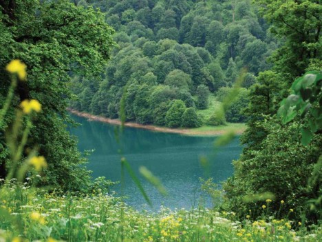 Milli parklarımıza gələn turistlərin sayı artıb