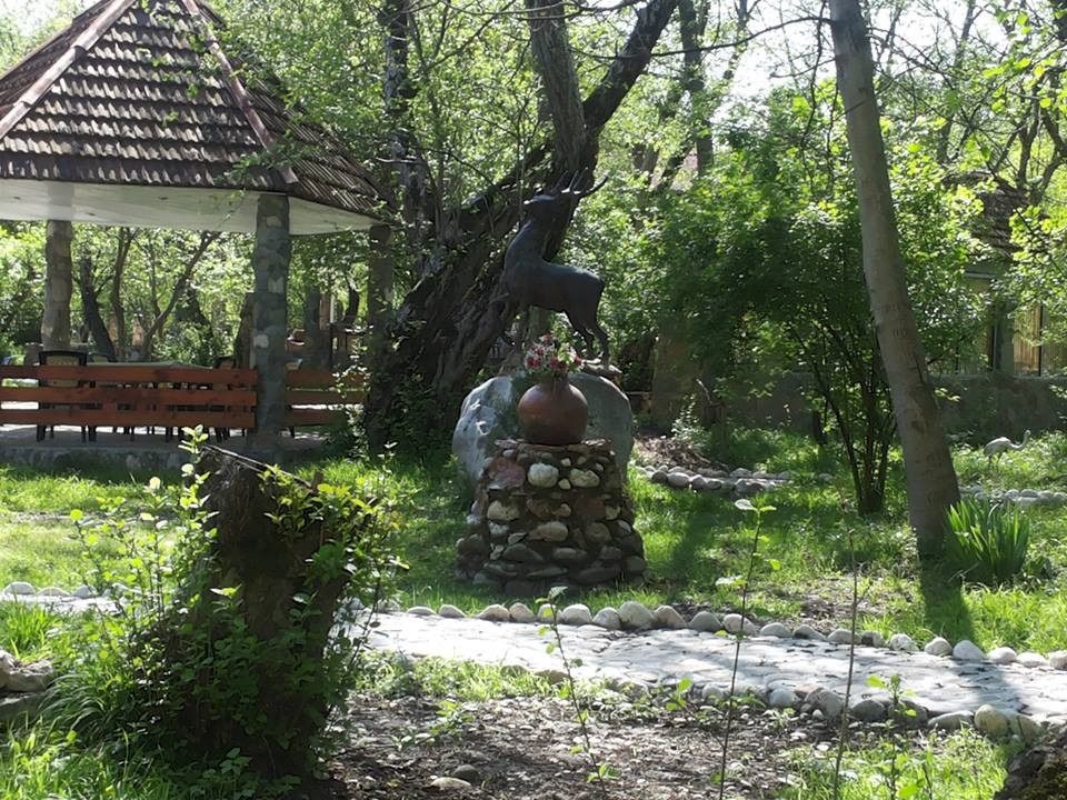 Azəraycanda turistlər üçün yeni - PİKNİK MƏKANI