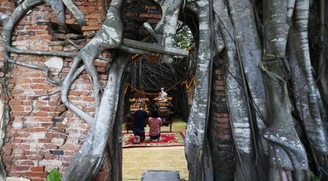 Ağac kökü ilə əhatələnən 400 yaşlı məbəd - FOTO