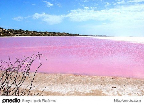 Çəhrayi göllərin sirri