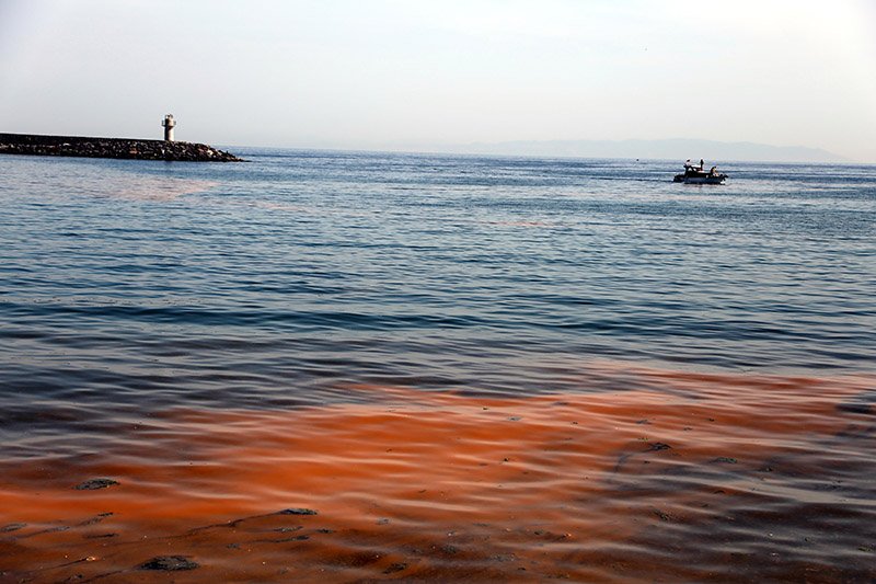 Mərmərə dənizi narıncı rəngə bürünüb – SƏBƏBLƏR