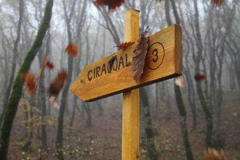 Ekoturizmlə bağlı maraqli layihəyə start verilib – FOTOLAR