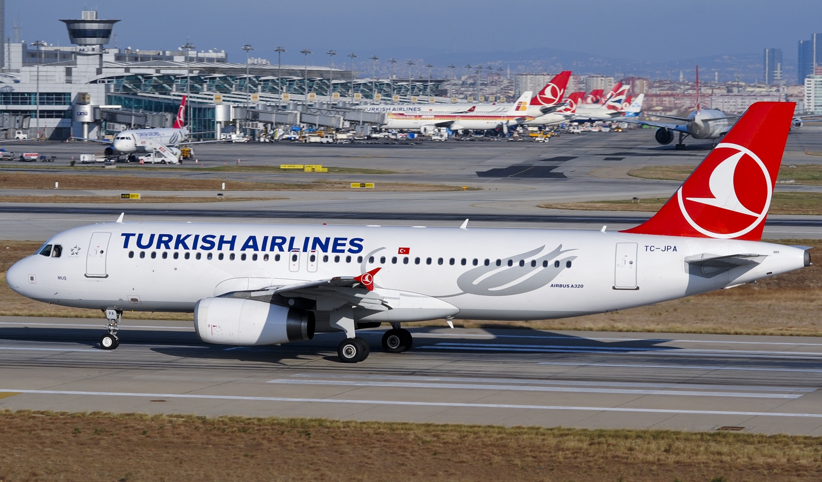 İstanbul-Bakı-İslamabad aviareysi açılacaq