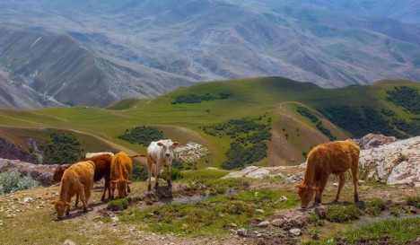 Azərbaycanın 6 ən gözəl yaylağı - SİYAHİ-FOTOLAR