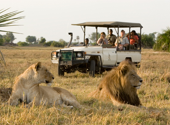 Nəhəng safari-zoopark açılacaq – DƏYƏRİ 270 MİLYON