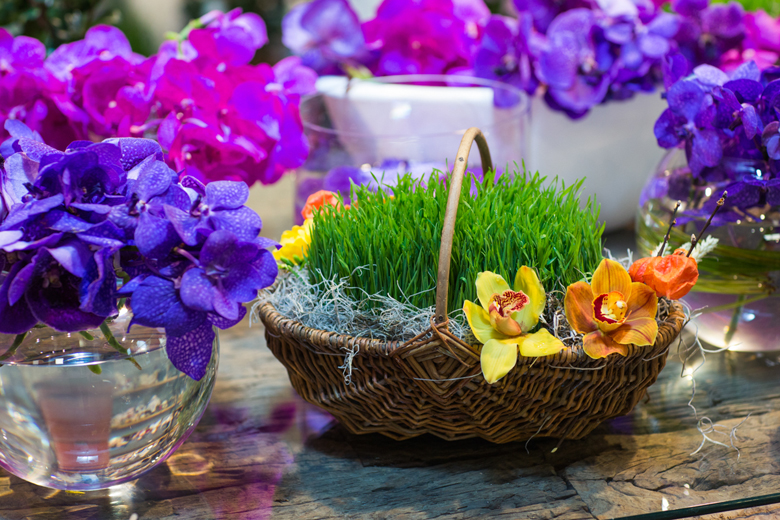 Novruzda harda dincələk? – TURLAR, QİYMƏTLƏR