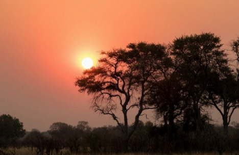 Təhlükəsiz istirahət vəd edən - AFRİKA ÖLKƏLƏRİ