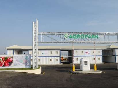 Yay təcrübə proqramı – Yalama Aqropark