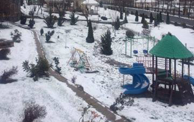 Qəbələyə qar yağdı - FOTOLAR