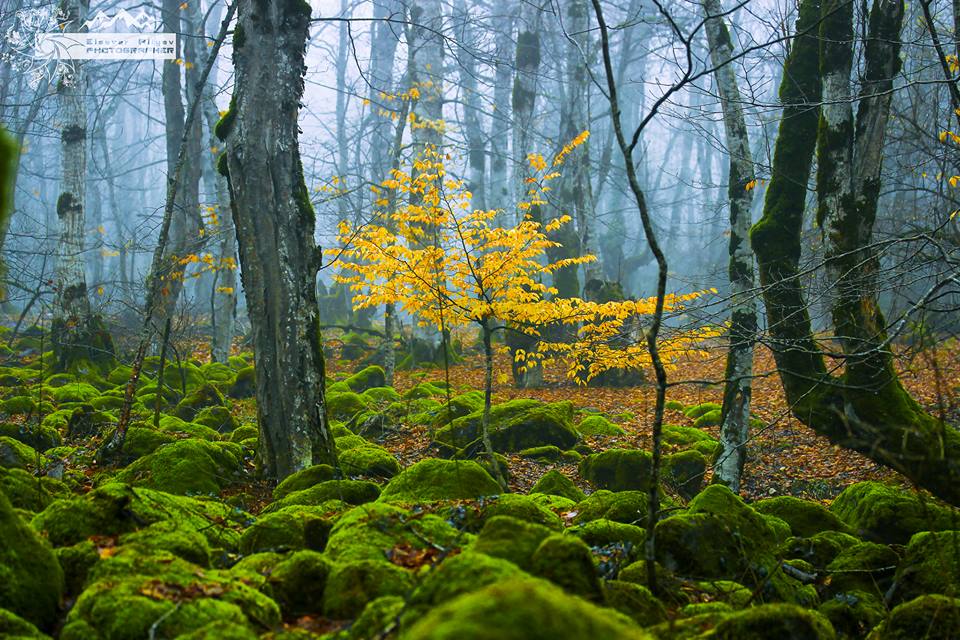 Azərbaycanın kəşf edilməmiş gözəlliklərindən - OĞUZ
