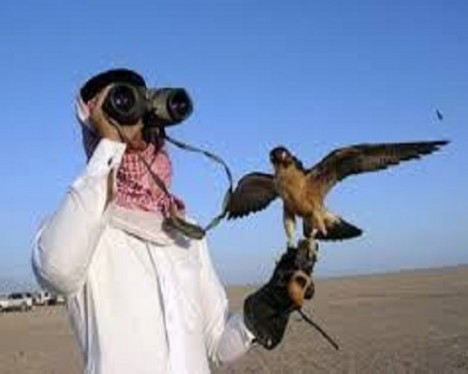 Azərbaycana gələn ərəblər silahları ilə birgə saxlanıldı