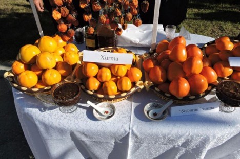 İlk dəfə beynəlxalq xurma festivalı keçiriləcək