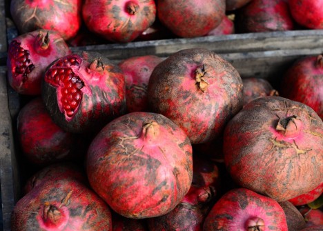Göyçayda Nar festivalında nələr olacaq? - PROQRAMI AÇIQLANDI