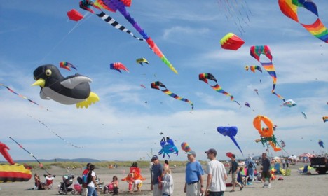 Cocuq Mərcanlıda “Uçurtma şənliyi” keçiriləcək – MƏTBUATA DƏVƏT