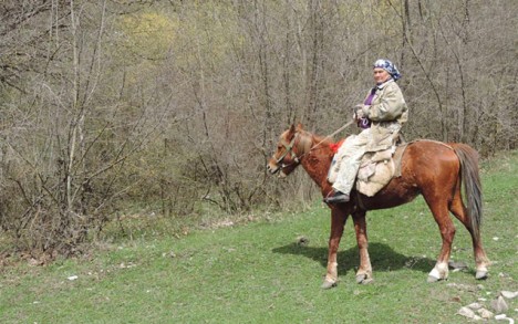 Azərbaycanda yeganə qadın meşəbəyi