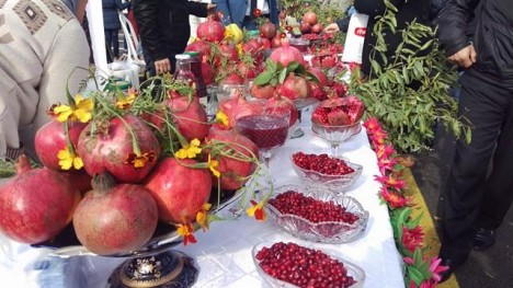 Bu tarixdə Göyçaya gələnlərə 1 kq pulsuz nar veriləcək