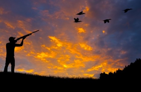 Ov turlarına start verilib