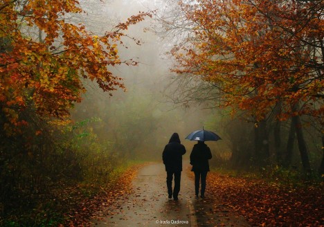 Göygöl Milli Parkından qızıl payızın FOTOLARI 