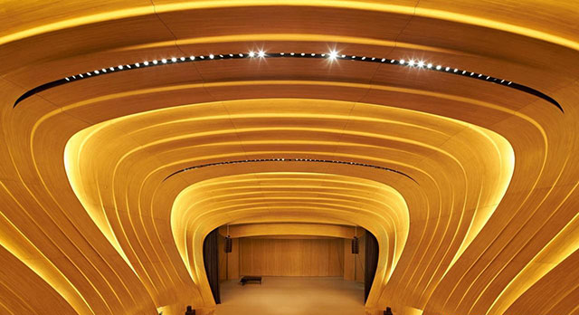 Dünyanın ən gözəl tavanları