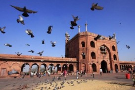 Azərbaycandan Hindistana getmək asanlaşdı